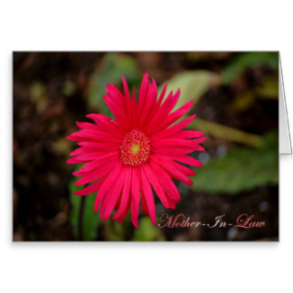  Pocket Of  Birthday Other Mother son in law  Images