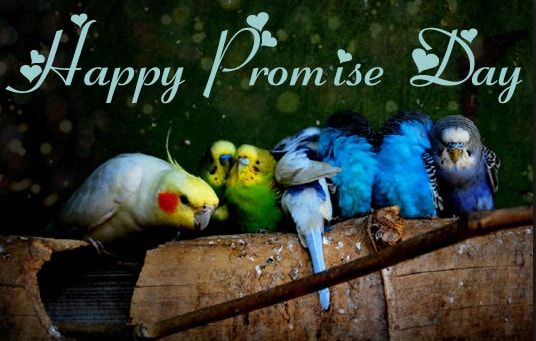 happy promise day wishes wallpaper 2019