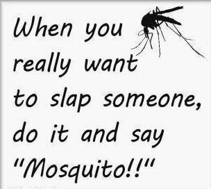 slap day wallpapers 2019