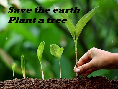 2019 World Environment Day Images For Status