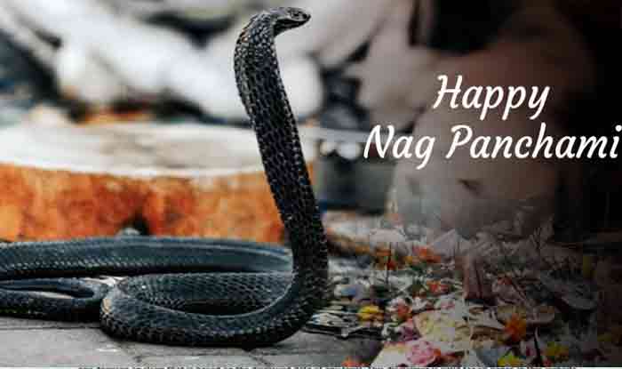 Best Happy Nag Panchmi Wishes