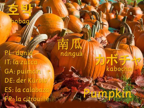 Happy Halloween  2019 wish