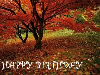 January Birthday Wishes for Birthday Boy