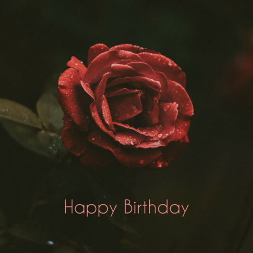 Charming Photo For Wishing Birthday 