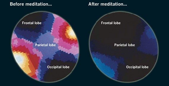 Meditation Benefits For Brain 3D Images Meditation Benefits For Brain