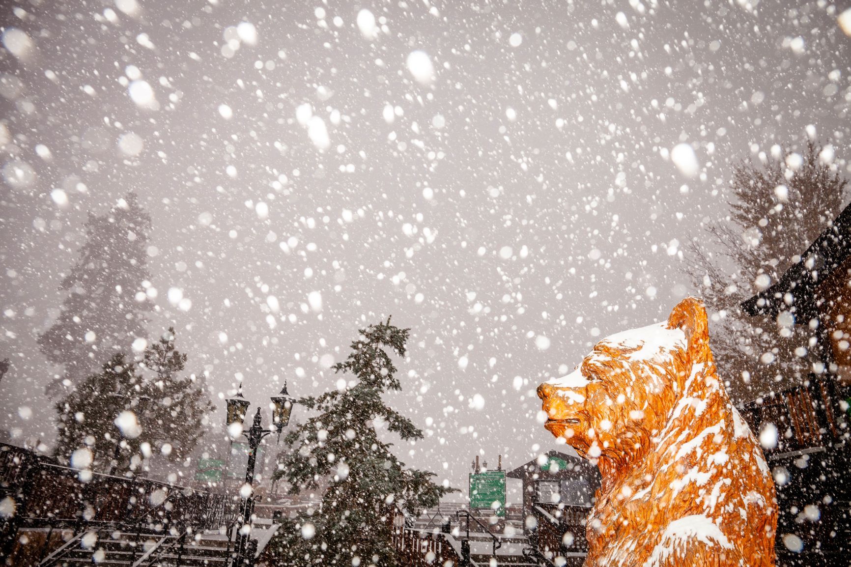 Beautiful Images of Happy Winters Day 