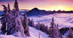 Eco friendly Winters Day Images 