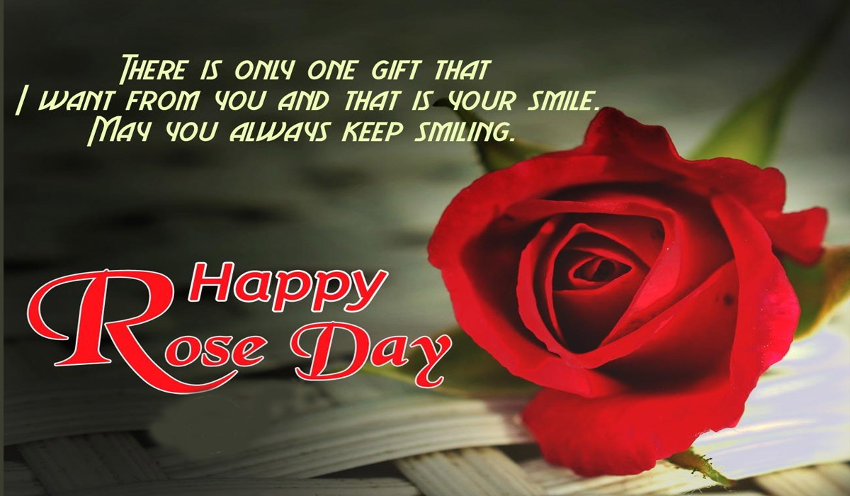 Happy Rose Day