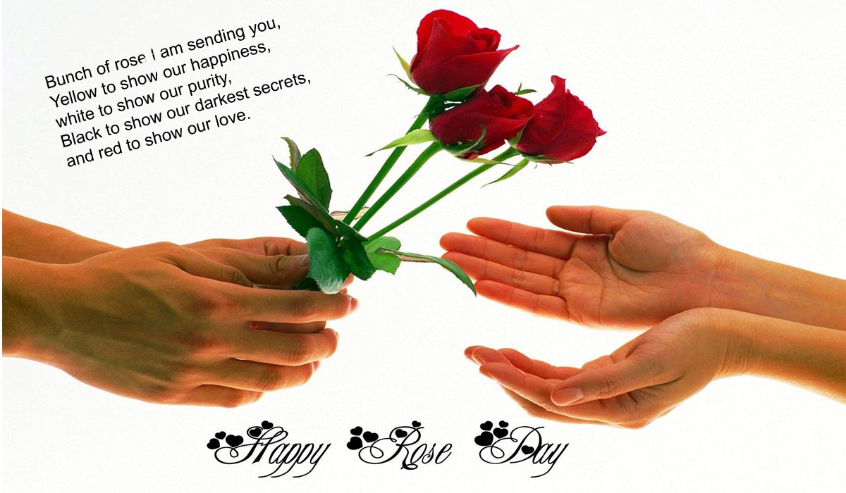 Happy Rose Day