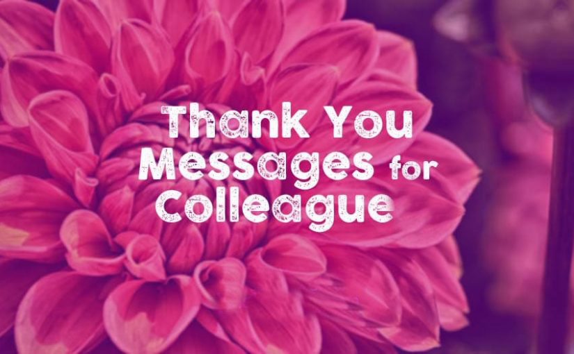 Thank You Messages for Colleagues at Work 
