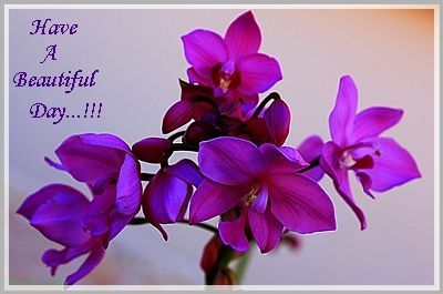 Everyday Wishes Messages