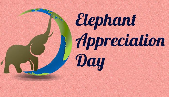 Special Image For Elephant Day Wishes Save Elephant Life Wishes Quotes and Messages