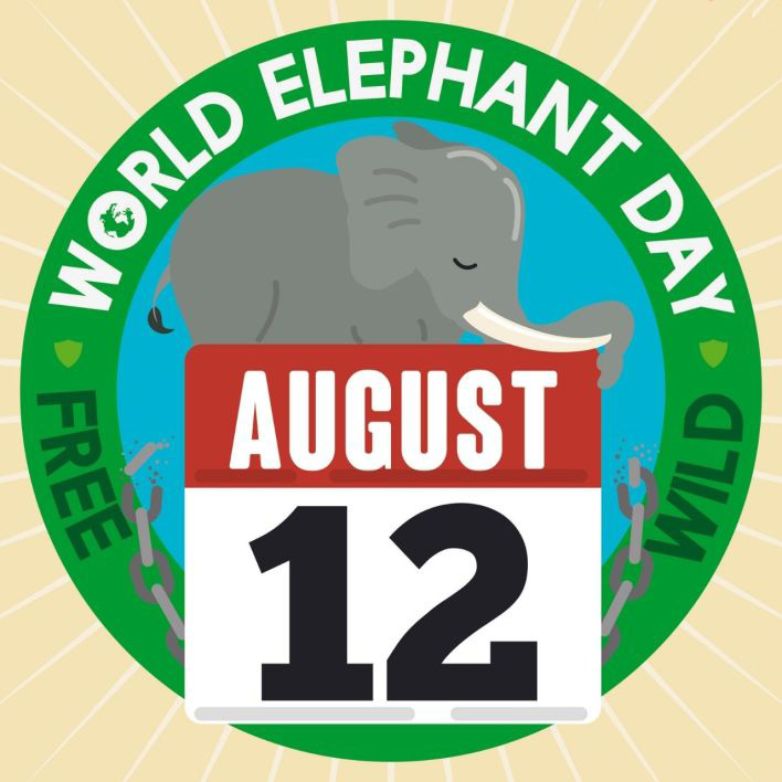 Best Pic For Wishing Happy Elephant Day Inspirational Elephant Day Quotes