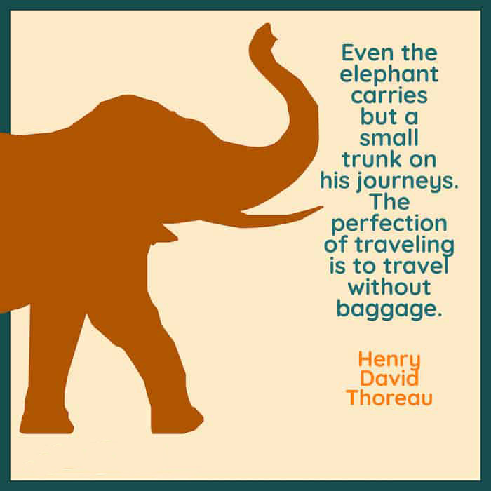 Inspirational Elephant Day Quotes