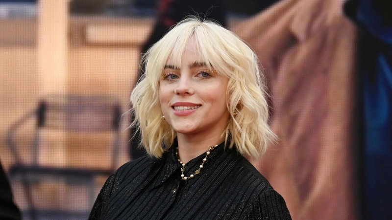 Billie Eilish Hot Image