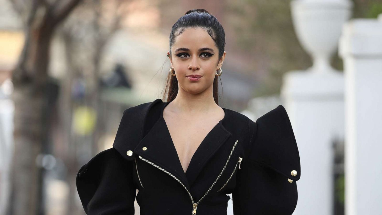 USA Singer Camila Cabello Hot Image