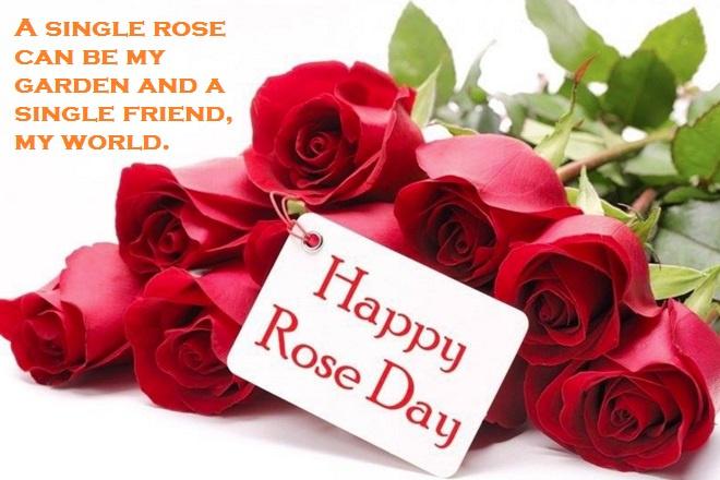 Happy Rose Day To Your Bestie