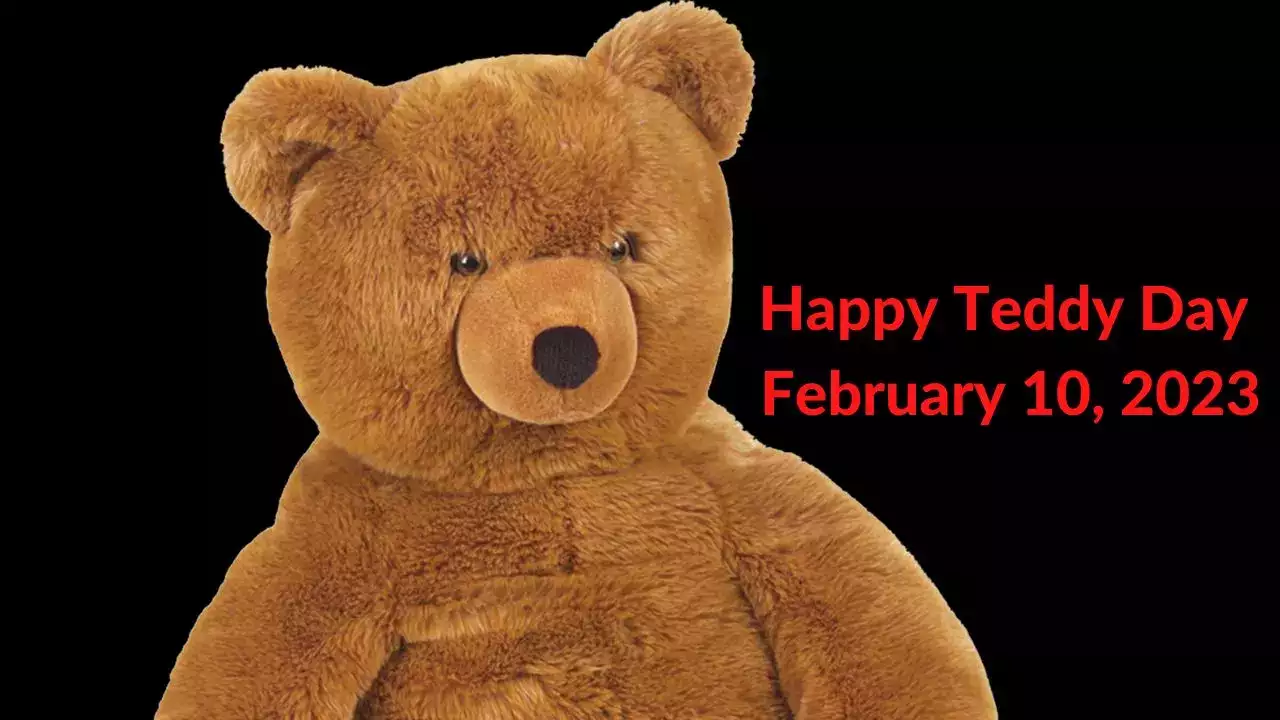 Teddy Day Best Image Best Teddy Day Wishes Images