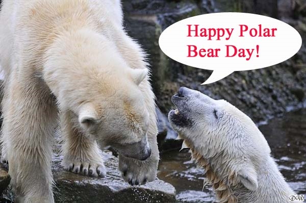 Happy National Polar Bear Day 2023 Wishes