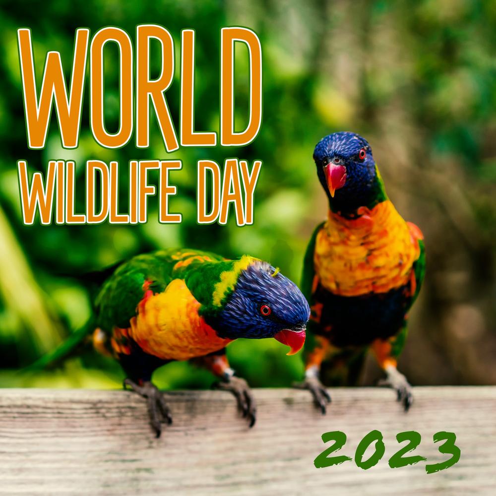 Happy World Wild Life Day 2023 Images