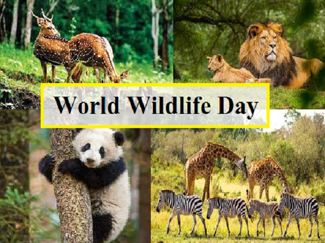 Happy World Wild Life Day 2023 Images