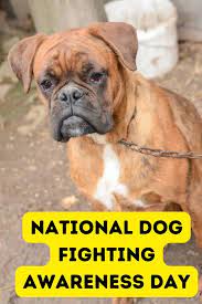 National Dog Fighting Awareness Day – April 8, 2023 Images