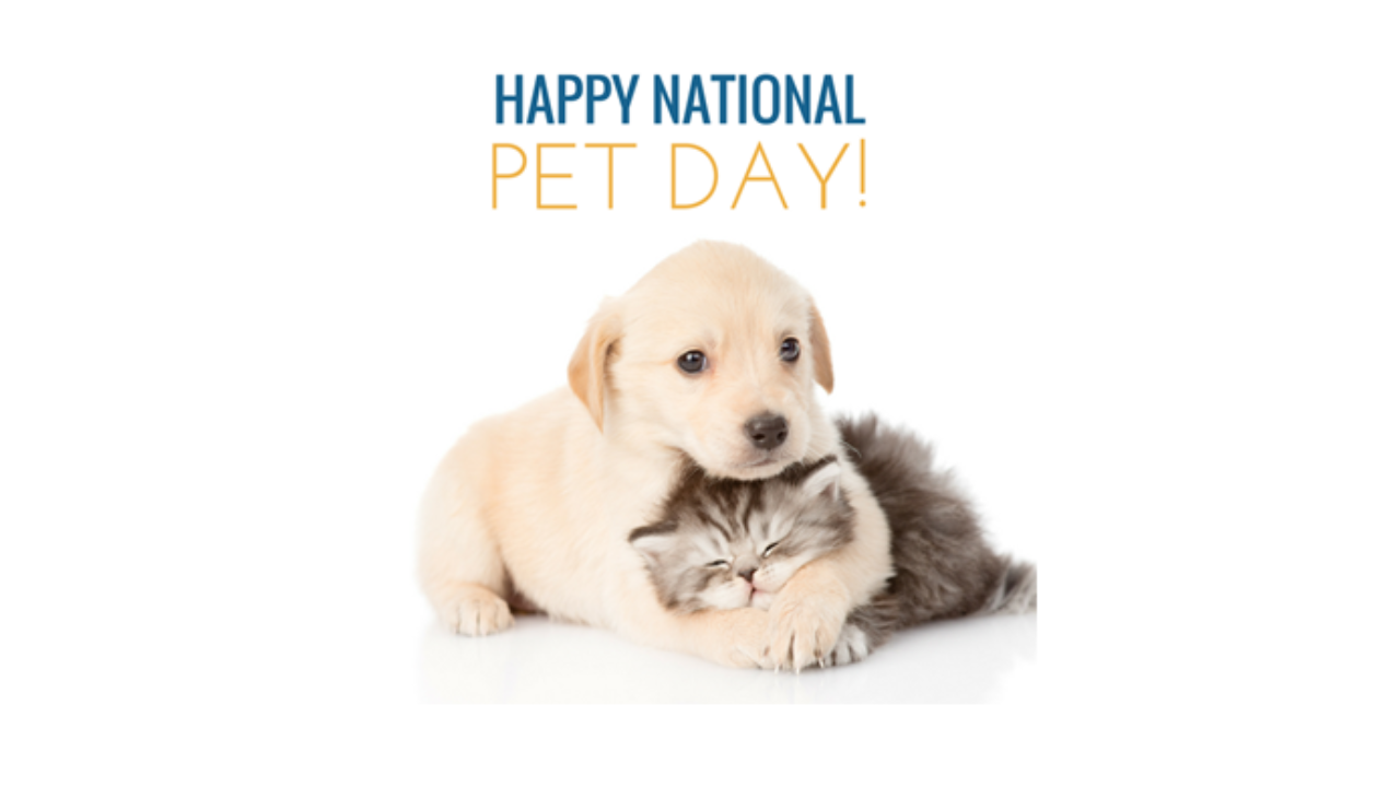 NATIONAL PET DAY - April 11 ,2023 Images