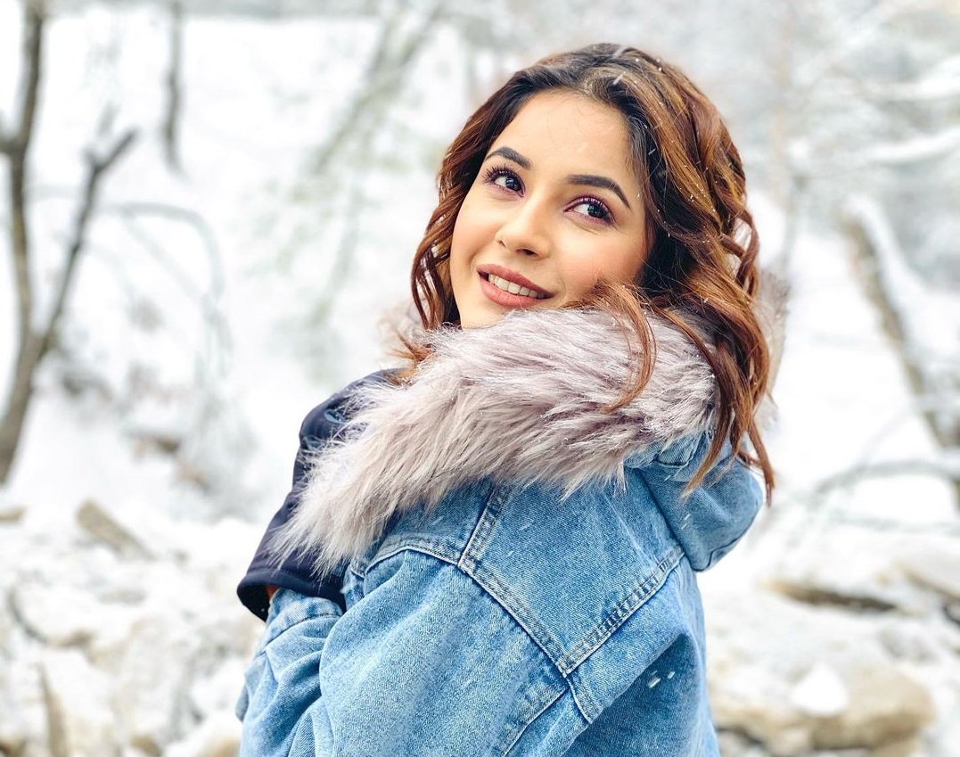 Best Images of Shehnaaz gill photo6