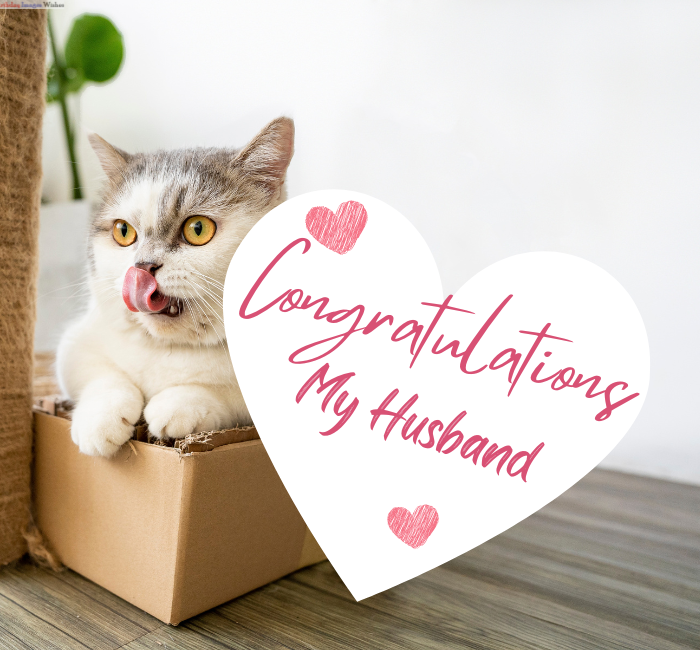 Best Images Wishes Of Congrats my Husband Photo2