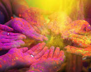 Holi Fever 2026 ?