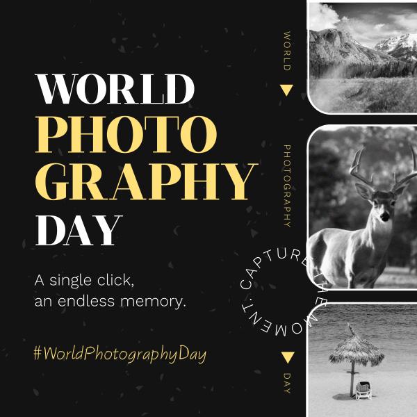 Happy World Photography Day quotes